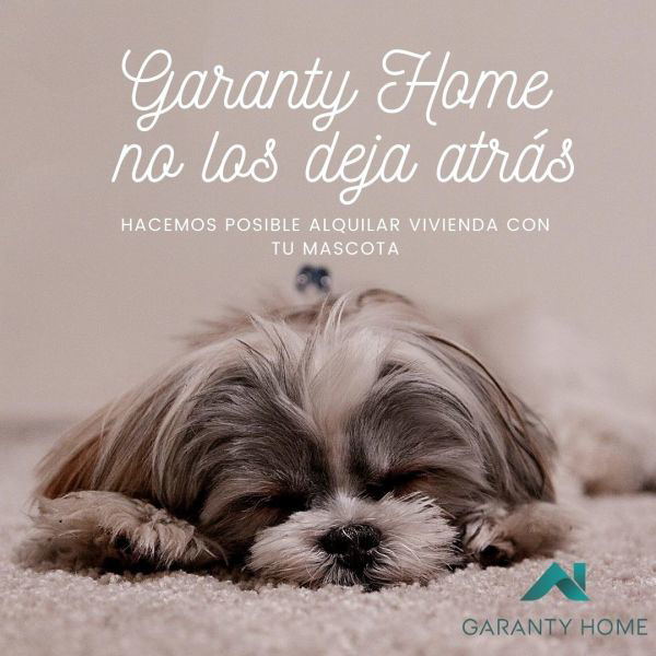 GARANTY HOME y La Garantía para daños causados por Mascotas